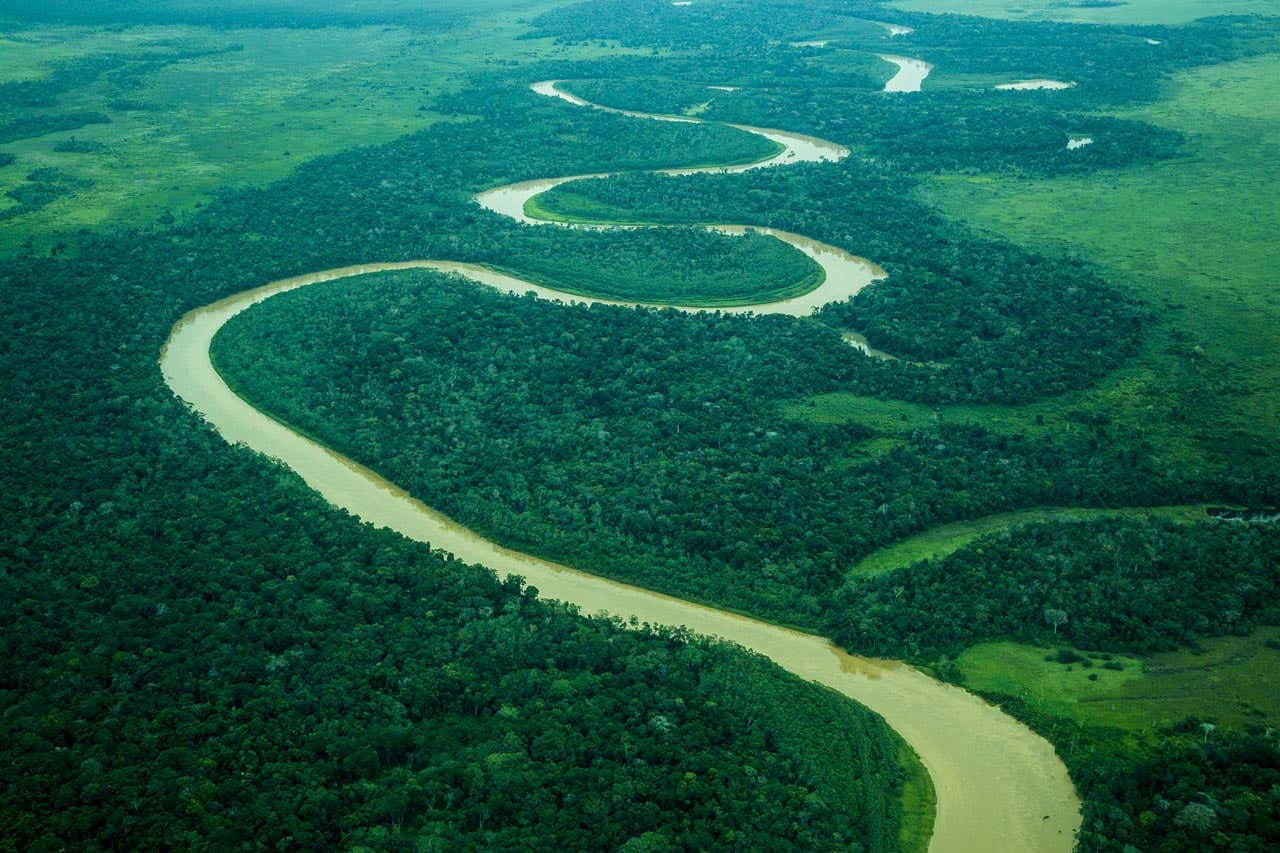 Fly Fishing the Amazon